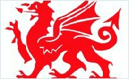 Welsh Celtic Dragon