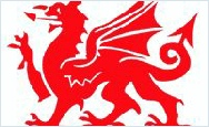 Welsh Celtic Dragon